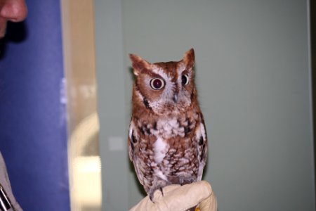 Patuxent Research Refuge 75th Anniversary