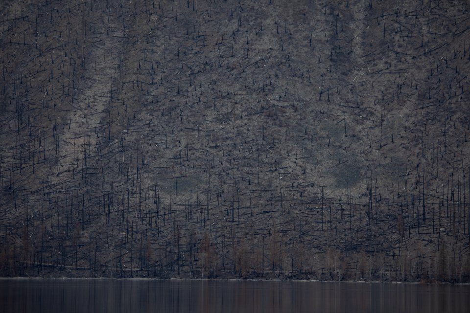 Howe Ridge Fire Burn Scar