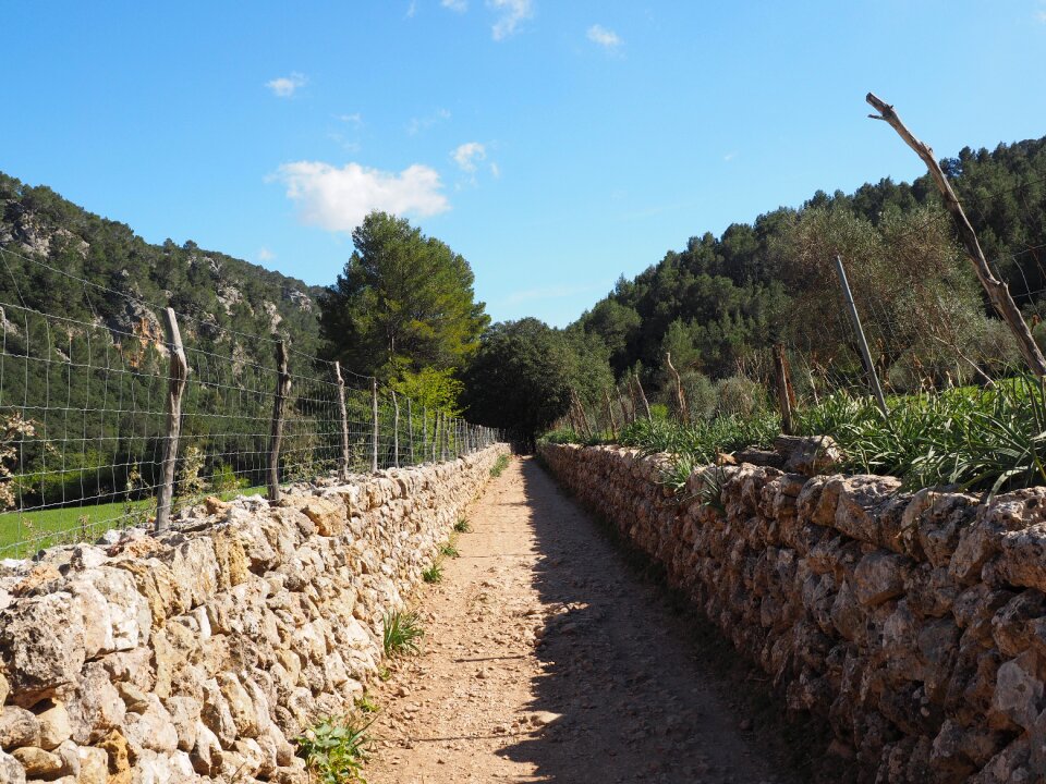 Valley of orient landscape mallorca