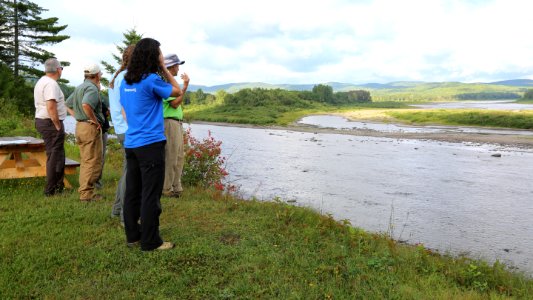 St. John River bank