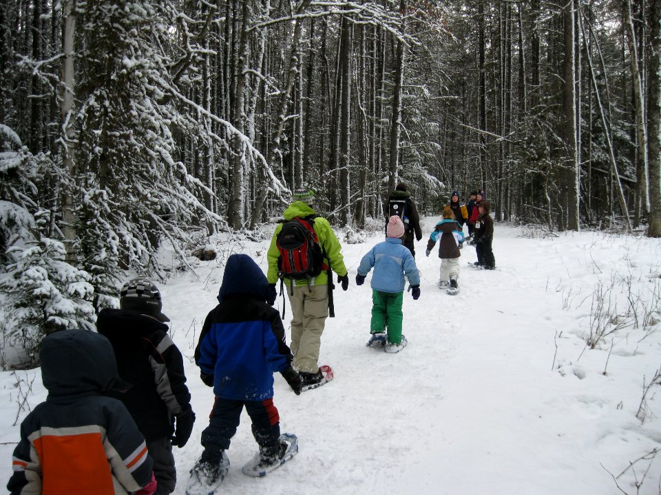Winter Ecology Education