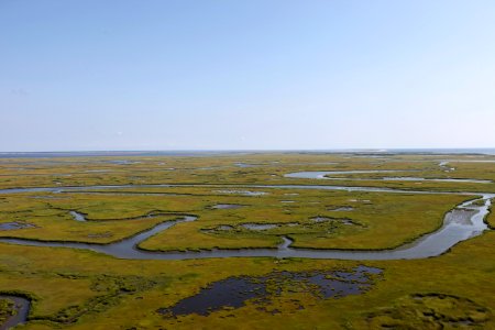 Day 2 - Forsythe National Wildlife Refuge Flyover