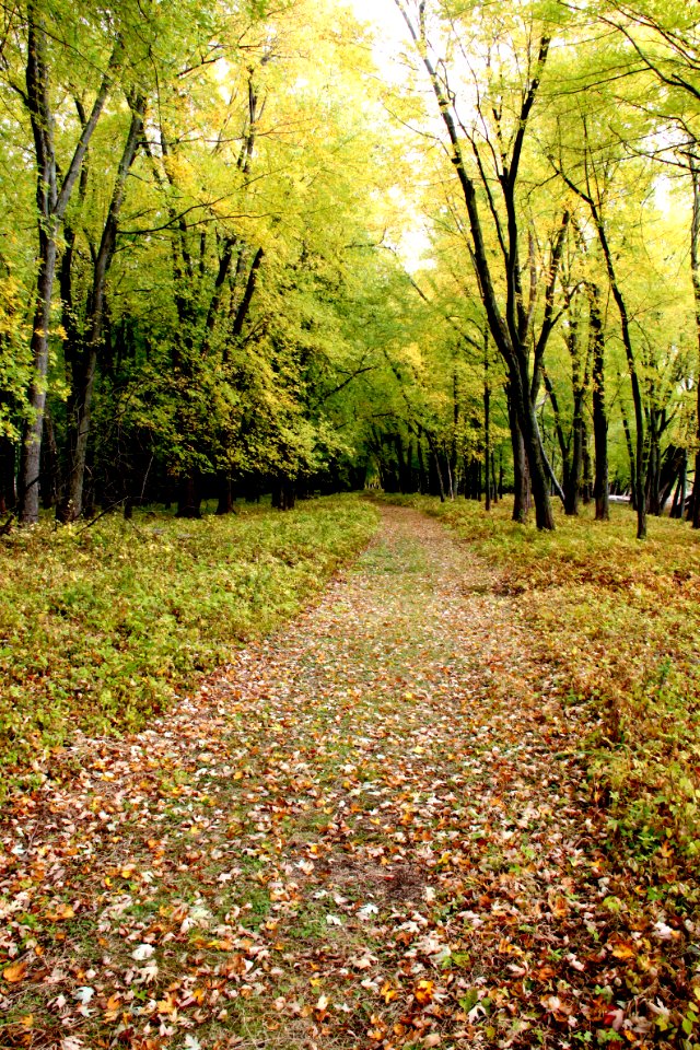 Jeep Trail at Missisquoi National Wildlife Refuge
