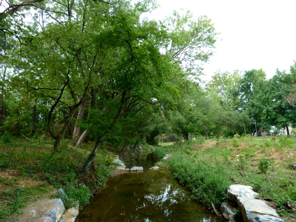 Restoring an urban stream (after)