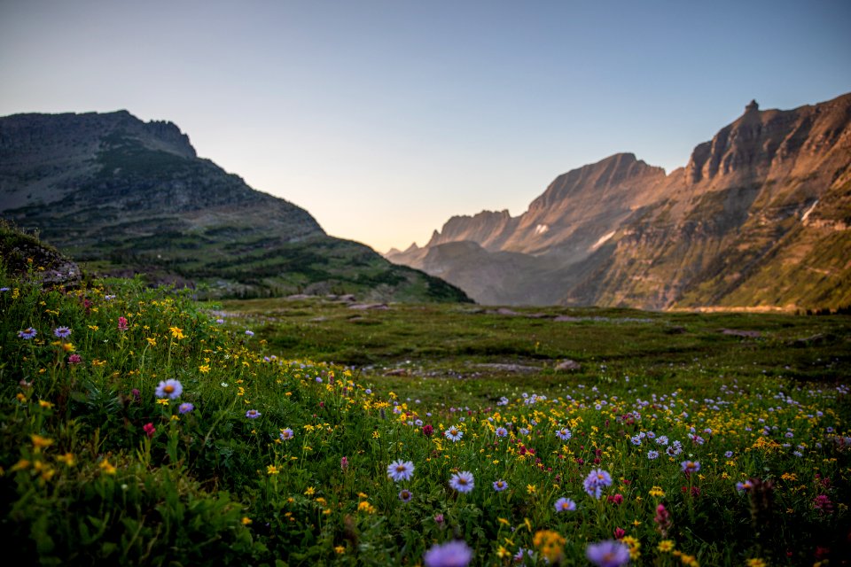Logan Pass and the Garden Wall in August splendor.