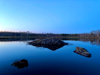 Beaver Lodge