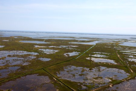 Day 2 - Forsythe National Wildlife Refuge Flyover