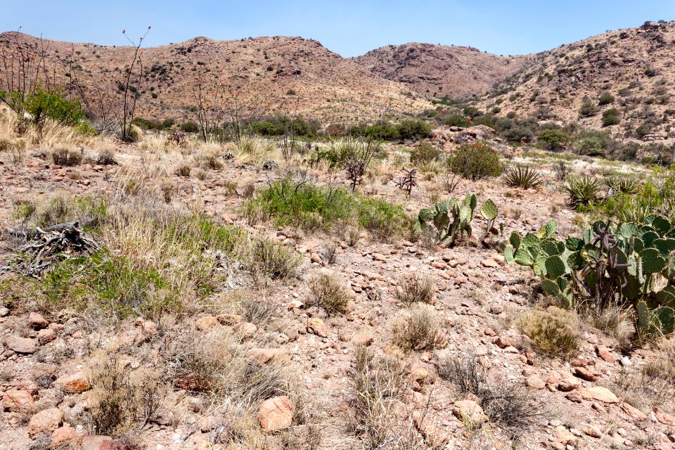 Alamo Hueco Mountains