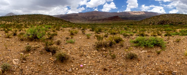 Southwestern Brokeoff Mountains