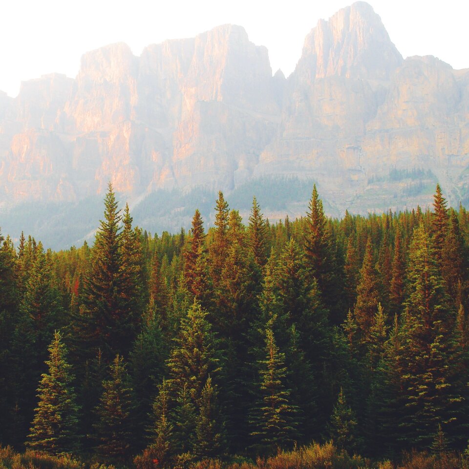 Nature landscape earth