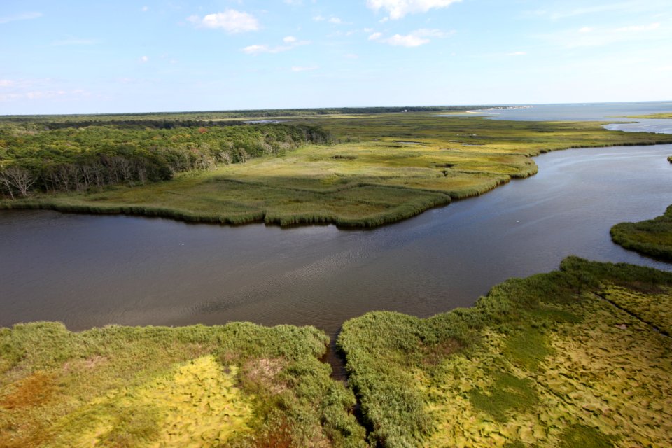 Day 1 - Long Island NWR (NY)