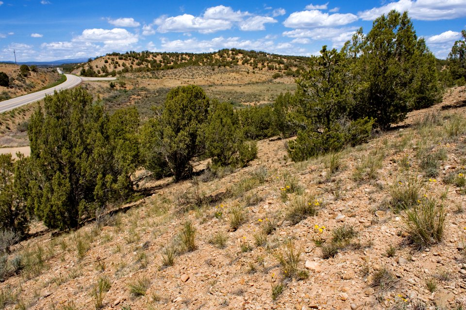 Near La Plata River