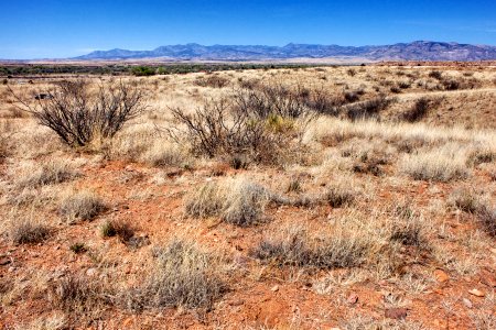 South of Gila