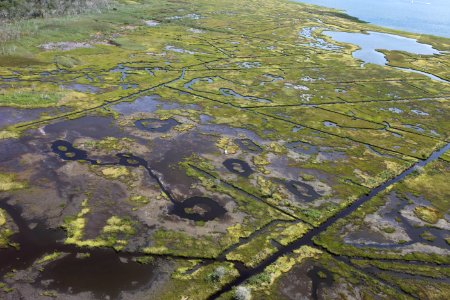 Day 2 - Forsythe National Wildlife Refuge Flyover