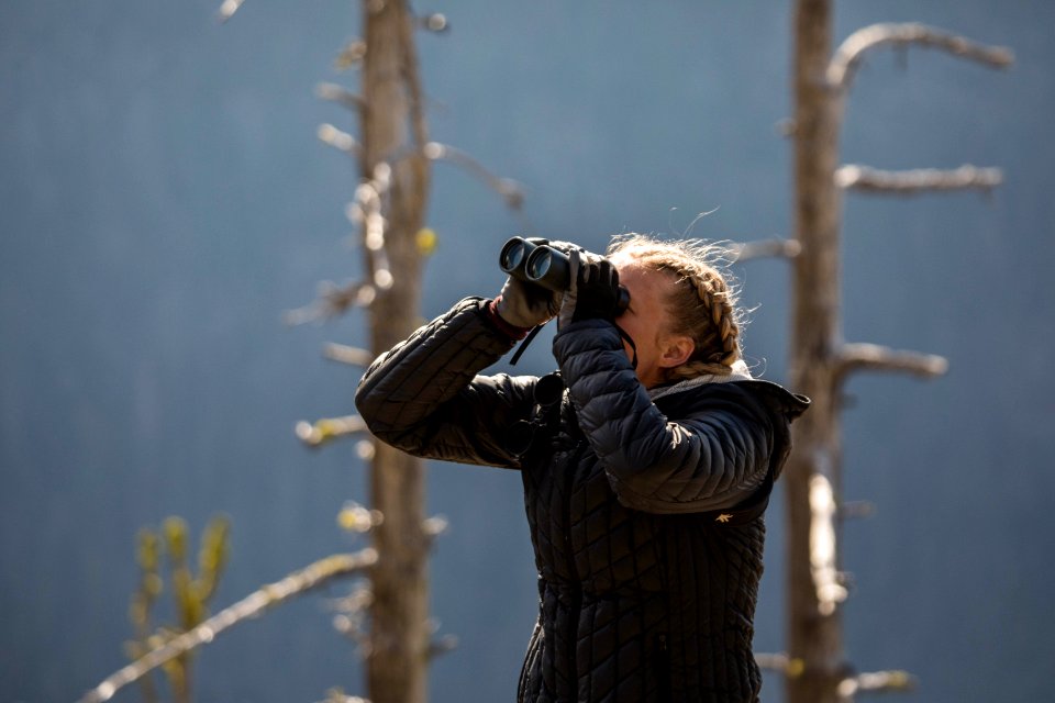 Hawk Watch Volunteer