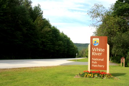 White River National Fish Hatchery entrance photo
