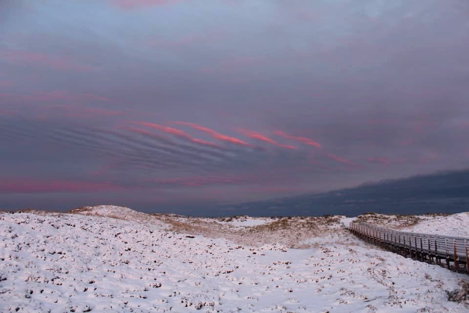 Snow Covered Dunes under pink and grey skies photo