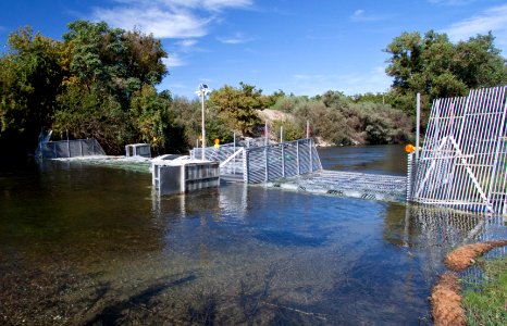 Tuolomne Weir 2010 photo