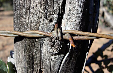 Wood barbed security photo