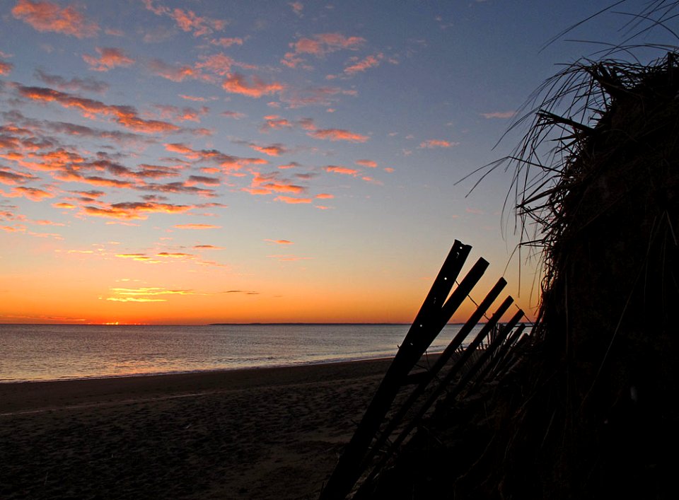Sunrise and snow fence