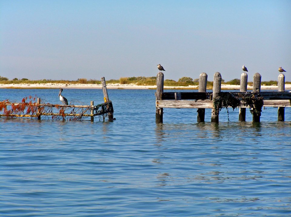 Dock
