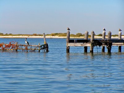 Dock