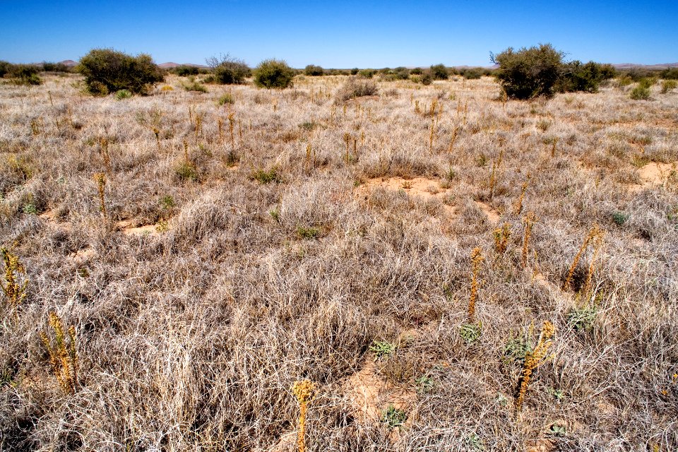 East-northeast of Animas
