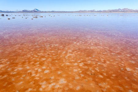 Lordsburg Playa