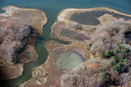 Aerial view of John H. Chafee National Wildlife Refuge (RI) photo