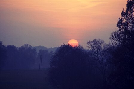 Nature october gold poland photo