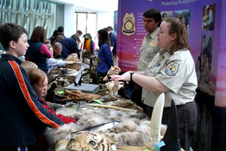Wildlife Inspectors explaining exhibits