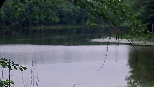 Assabet River National Wildlife Refuge