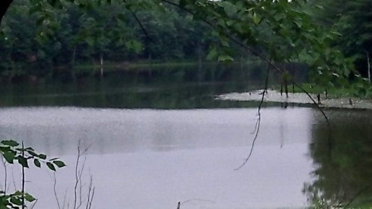 Assabet River National Wildlife Refuge photo