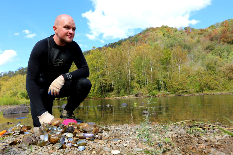 Mussel die-off