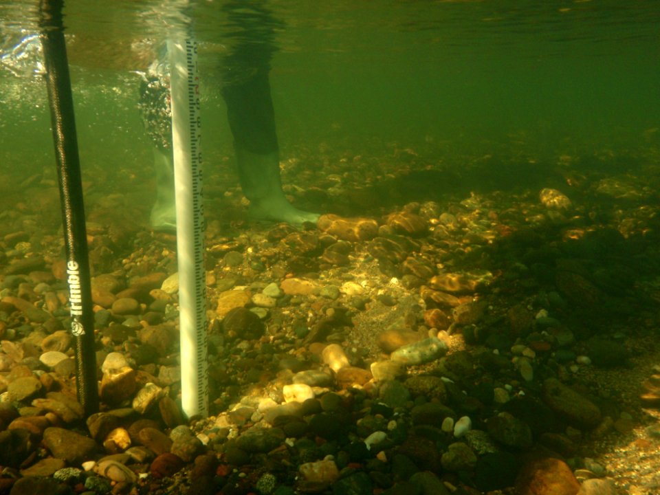 Salmon Redd Survey