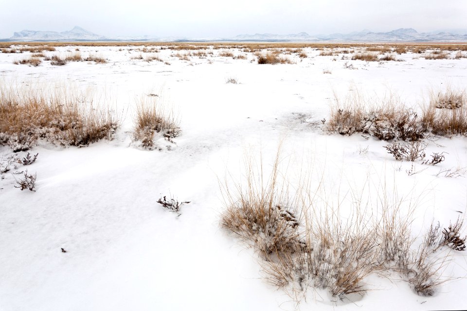 Southern edge of Lordsburg Playa