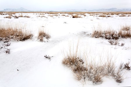 Southern edge of Lordsburg Playa