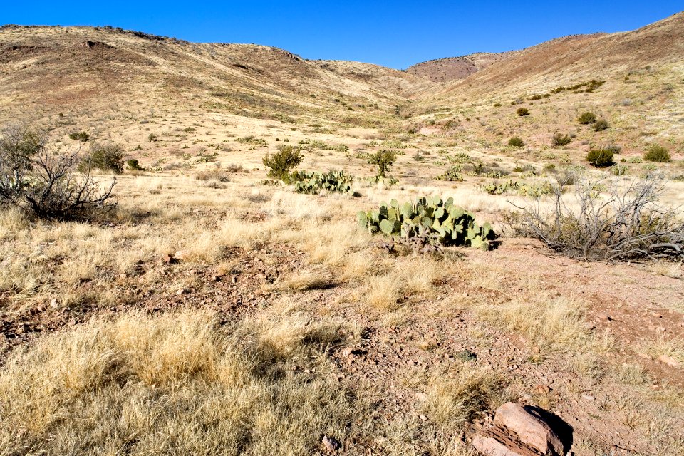 Near Ash Peak Canyon