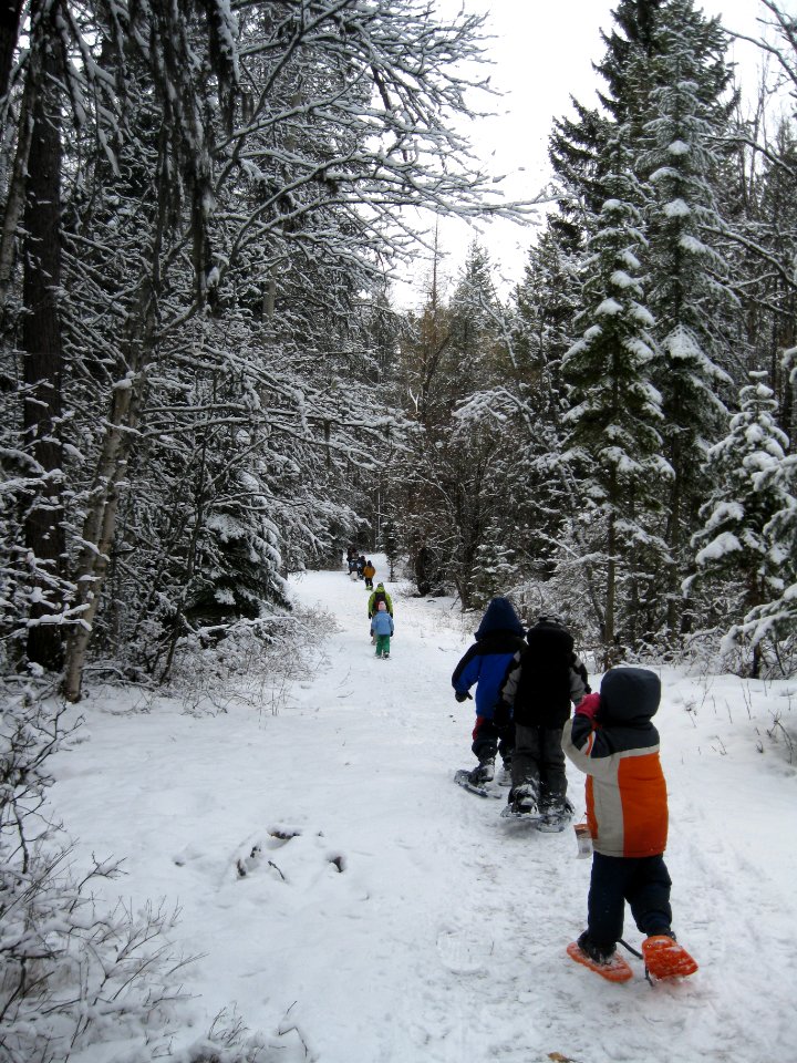Winter Ecology Education