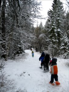 Winter Ecology Education