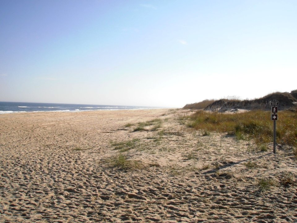Back Bay National Wildlife Refuge