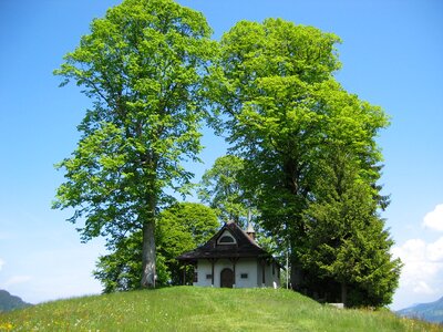 Linde christian small church