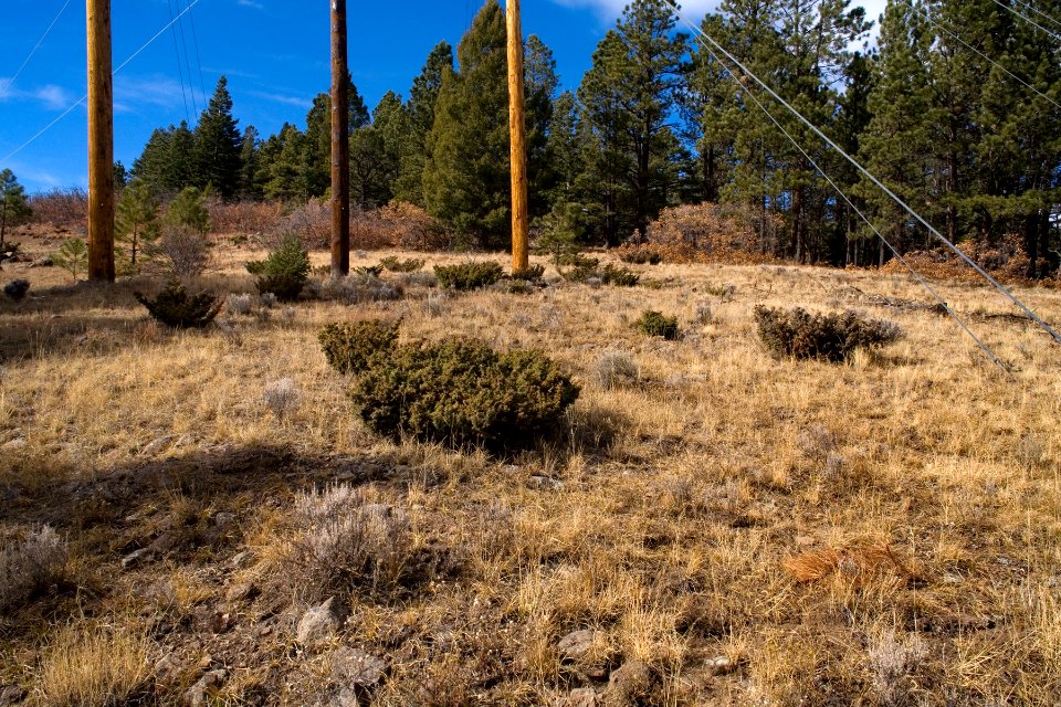 Between Angel Fire and Springer