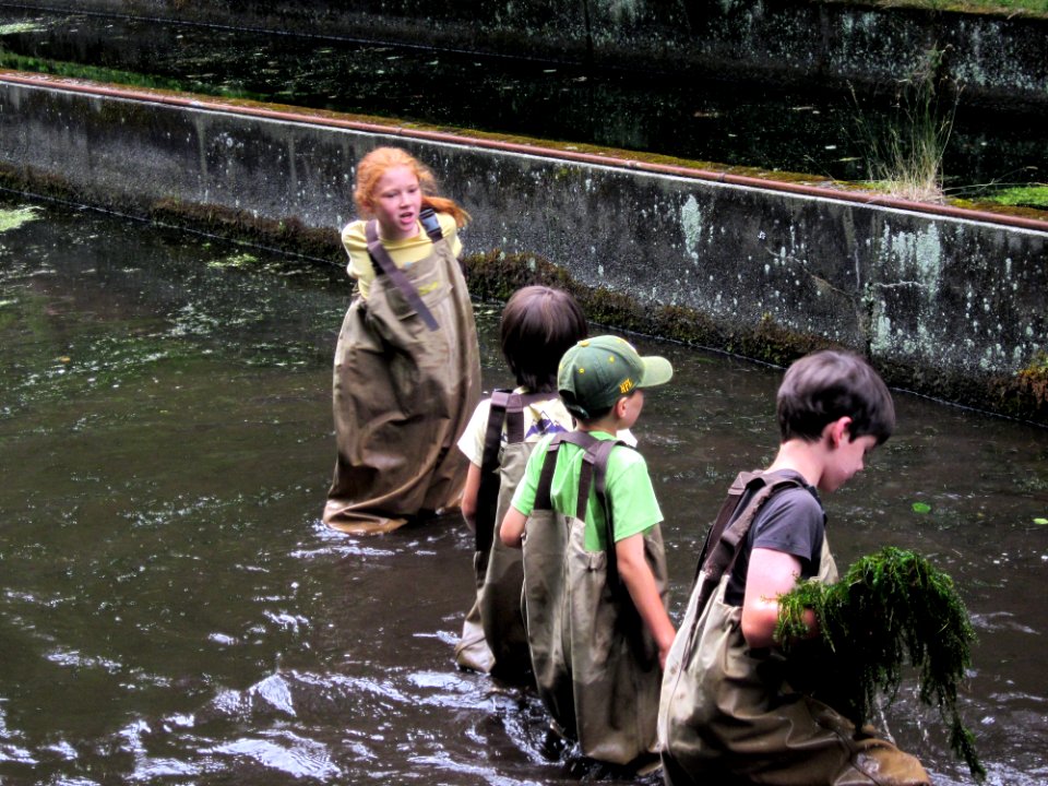 Nature day campers to the rescue