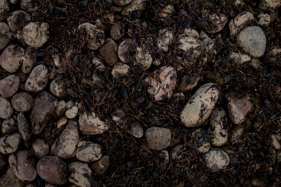 Ash on the Lake McDonald beach in Apgar