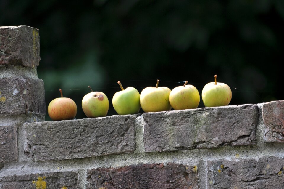 Wall summer eat