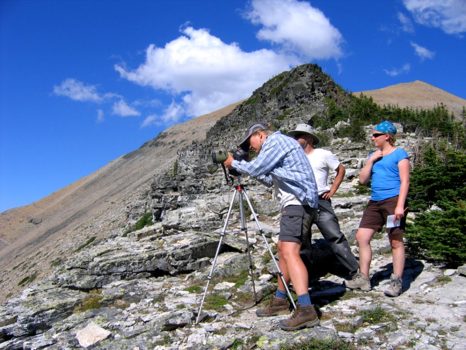 Scanning the cliffs for mountain goats (Citizen Science)
