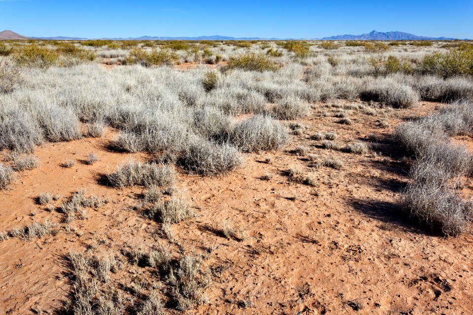 Plains west of Deming