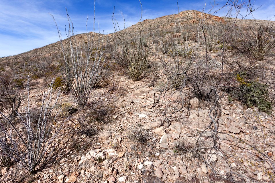 Base of the Caballo Mountains