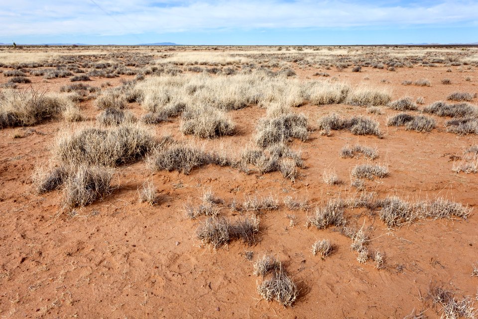 South of Goat Ridge